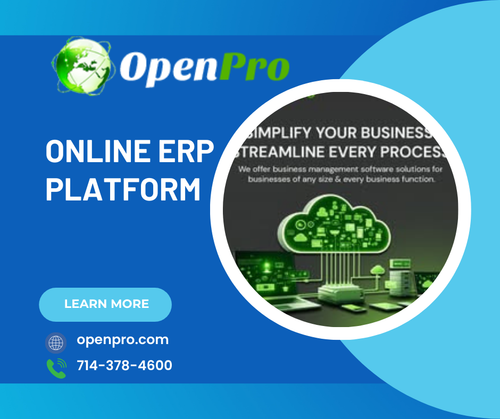 Online ERP Platform.png