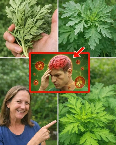 HAOpXzpXYAAxJ6B.jpg