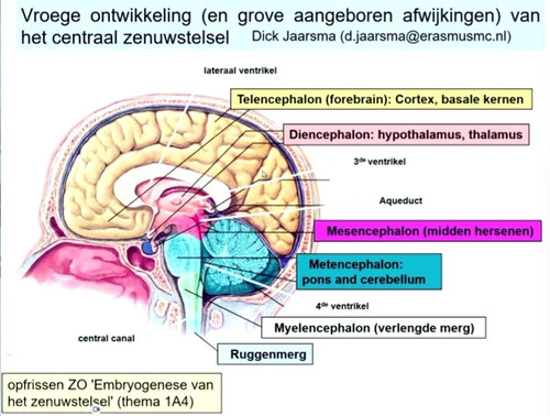 d9fec8016d84.jpg