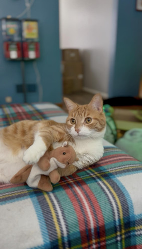 625318173 122160325604859660 2039214799664069514 n.jpg