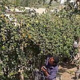 nC yixX4ntPGA2RZ.jpg