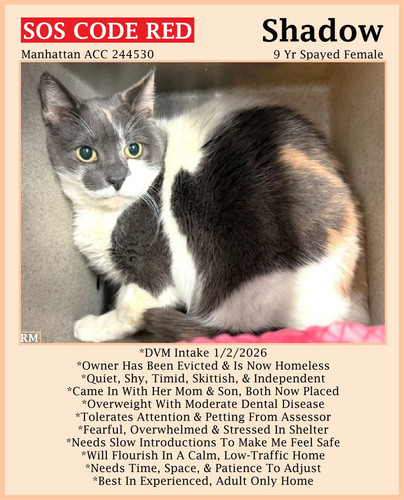 G 4PRR6bUAATB 7?format=jpg.jpg