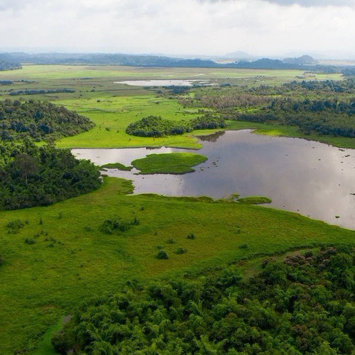 HAL2UJHbIAAcji ?format=jpg.jpg