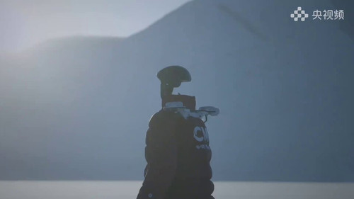 A MsJEJVZLbeb6YZ.jpg