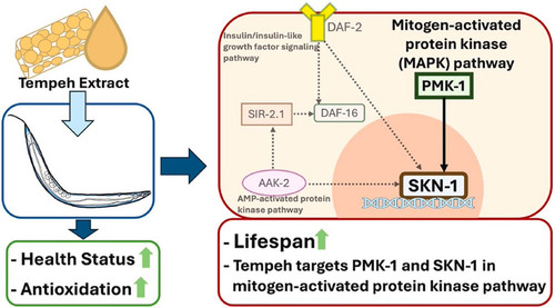 G9qCsJgWkAAv ge?format=jpg.jpg