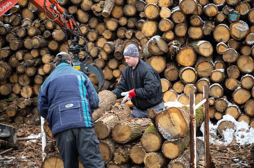 626524987 1517724126388825 3007014059308129428 n.jpg?stp=dst jpg s590x590 tt6& nc cat=104&ccb=1 7& n.jpg