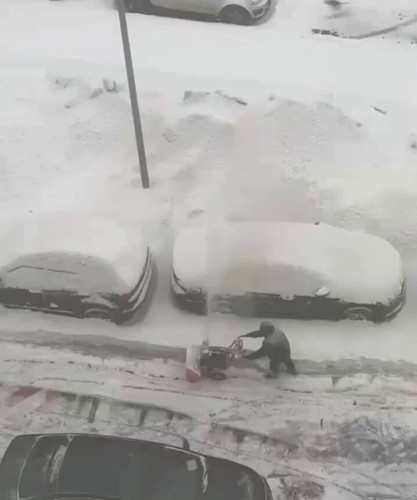 wt12ZzOp4 P4vxBl.jpg