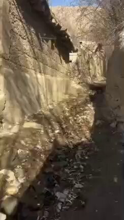 uAeCL2C d5 VnJz .jpg