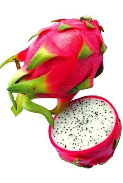 Dragon Fruit White.jpg