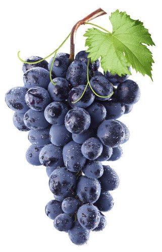 Black Grape.jpg