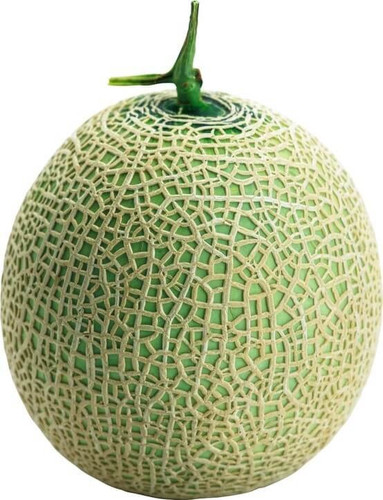 Melon.jpg