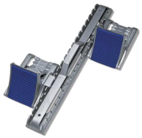 Newton International.png