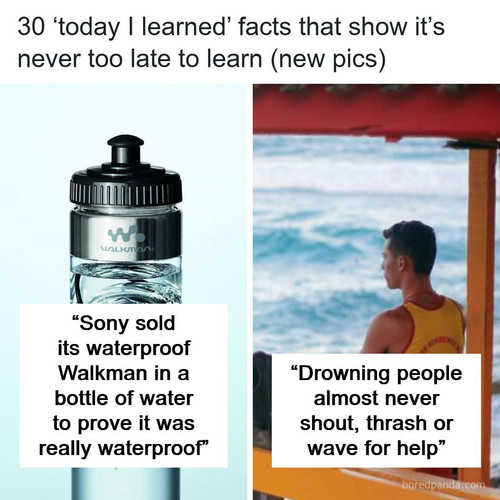 fun interesting facts.jpg