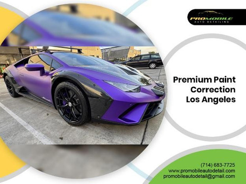 Premium Paint Correction Los Angeles.jpg