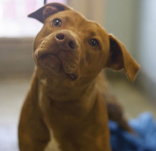 HAO6 fVXQAEDOZQ?format=jpg.jpg