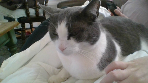 IMG 20260126 142253.jpg