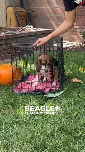 dDRLbG LInaWOZWf.jpg