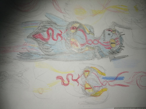 IMG 20260203 212905.jpg