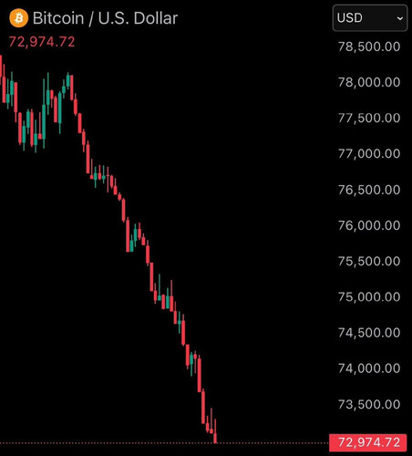 photo 4342 1770151409 converted converted.jpg