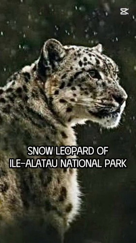 eUDywlCYjarNp eh.jpg