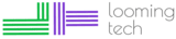 logo looming tech 160x36.png