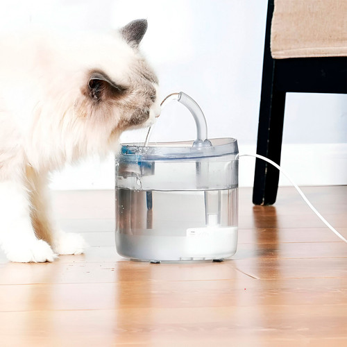 TBANI4609TRANSPARENTE (4).jpg