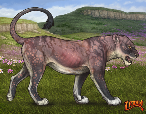 lioden wardrobe 2026 02 03T132719.284.png