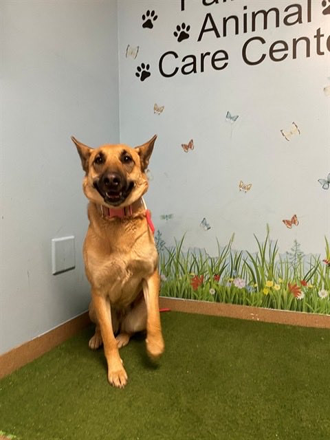 G 4kLciXAAAyyGa?format=jpg.jpg