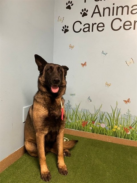 G 4kLciX0AARl2x?format=jpg.jpg