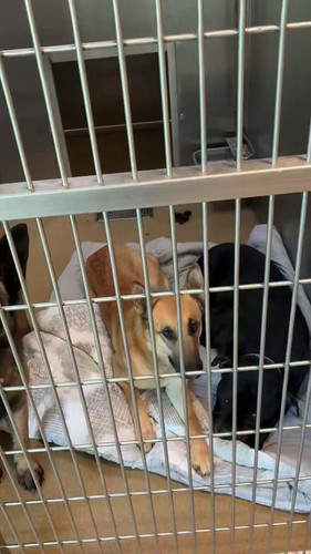 qn8WNMfOYFvsZZ N.jpg