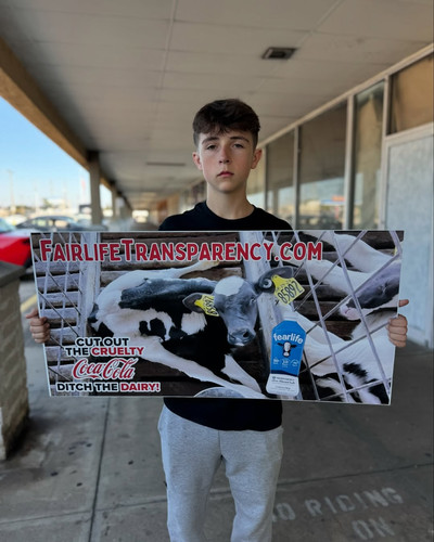 BREAKING The WORST dairy cruelty ever caught on camera! Fairlife and its suppliers have been exposed.jpg