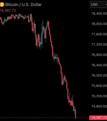 photo 4341 1770146968 converted converted.jpg