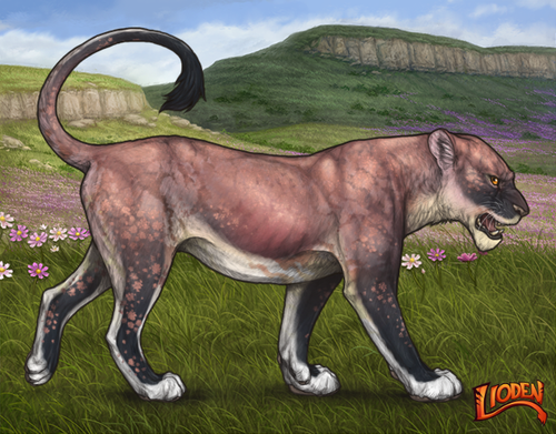 lioden wardrobe 2026 02 03T133230.162.png