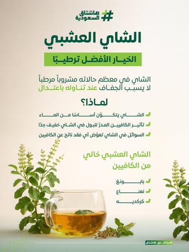 625854513 1717330573008776 6914223471199550804 n.jpg?stp=dst jpg p526x296 tt6& nc cat=102&ccb=1 7& n.jpg