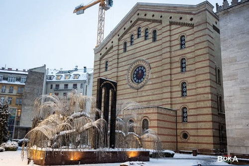 627348841 122327420642011138 423820867034155122 n.jpg?stp=dst jpg s590x590 tt6& nc cat=105&ccb=1 7& .jpg