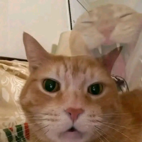file.jpg