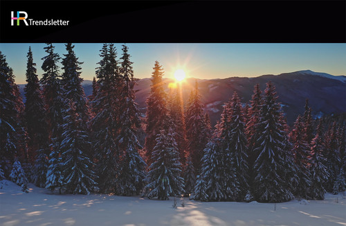 header 2.jpg