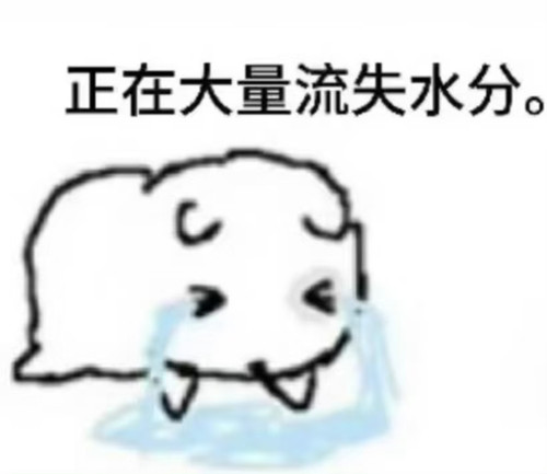 1770209683883.jpg