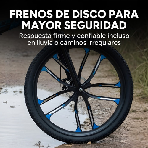 Mesa de trabajo 10 80.jpg