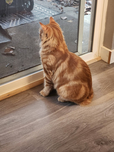 625013890 10164762322933643 8186058240250211624 n.jpg