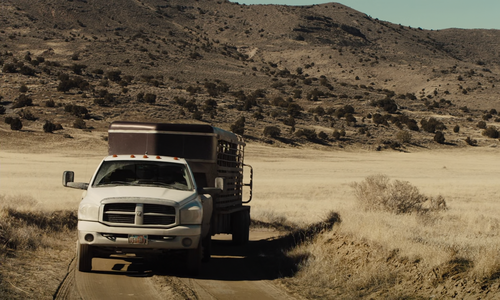 vlcsnap 2026 02 03 19h41m56s715.png