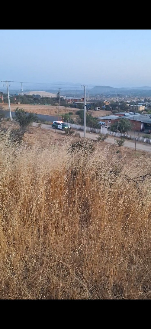 WhatsApp Image 2026 02 03 at 22.26.12