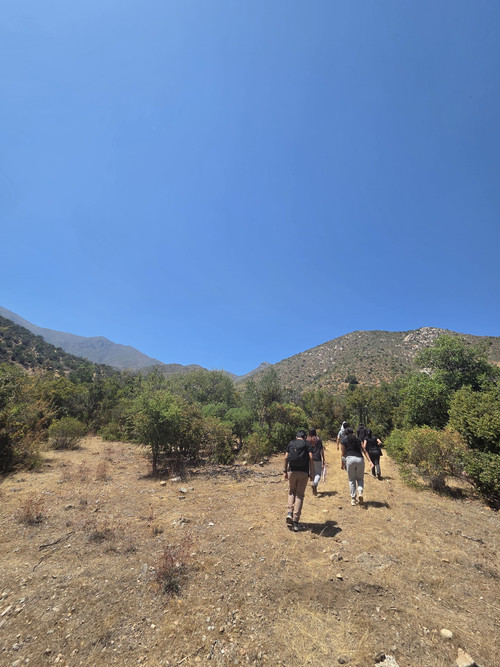 WhatsApp Image 2026 02 03 at 22.26.12 (1)