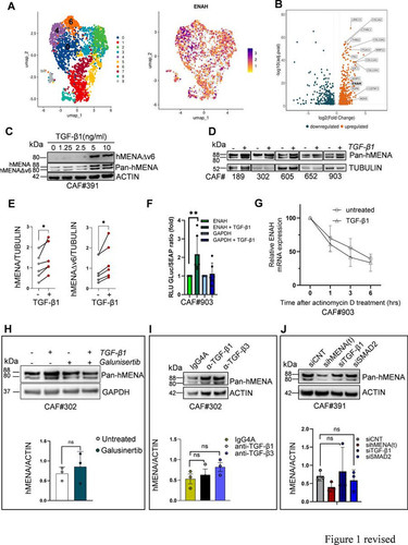 HALLY YX0AAGMH7?format=jpg.jpg
