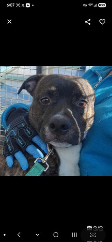 HAG7Qf W0AIc7K7?format=jpg.jpg