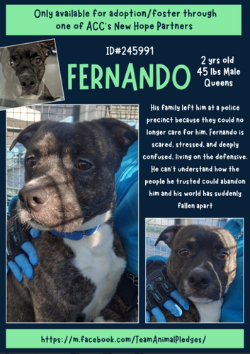 G 60j48XcAABy8m?format=png.png