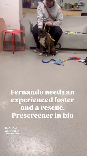 dgzBmO JyCdKm yt.jpg