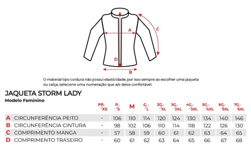 ronin lady v2 (1).jpg