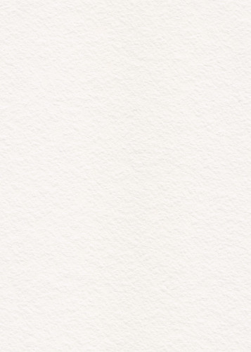 paper texture.jpg