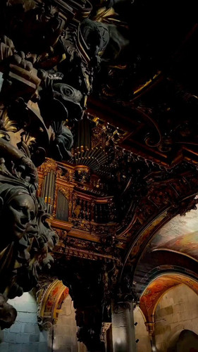 20rPLtL HV479 12.jpg